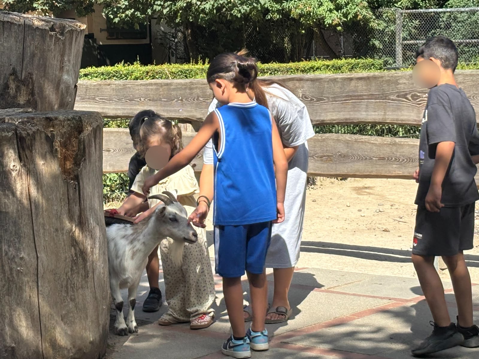 Ein erlebnisreicher Tag im Tierpark Hagenbeck - Bild 3